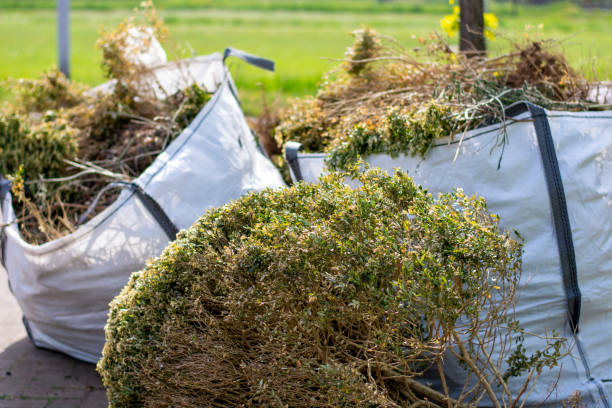 Best Appliance Removal Near Me  in Trappe, MD